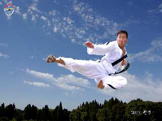 Taekwon-Do 1