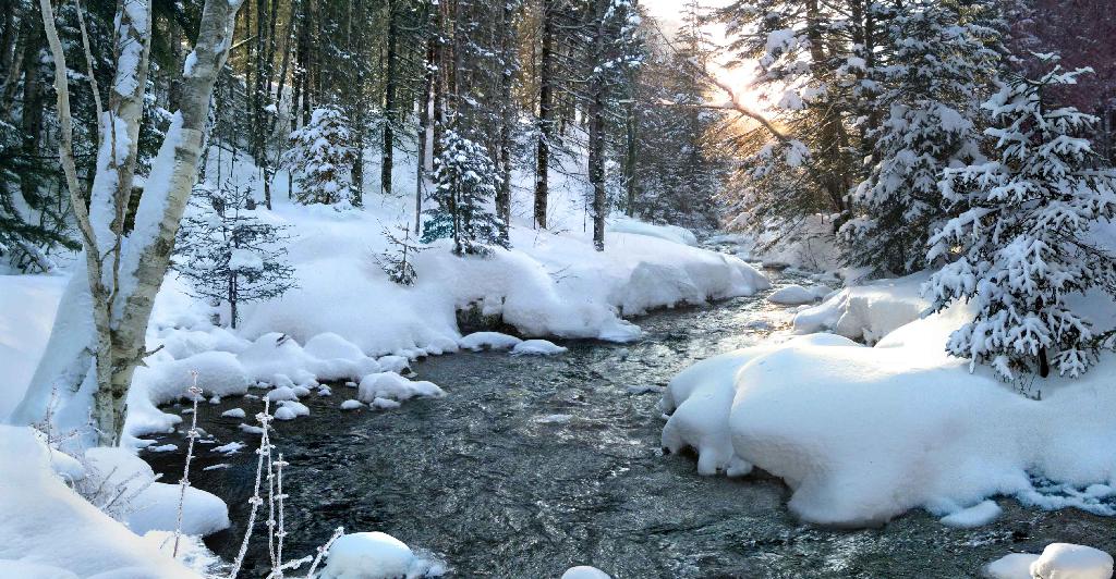 Sobaek Stream in February