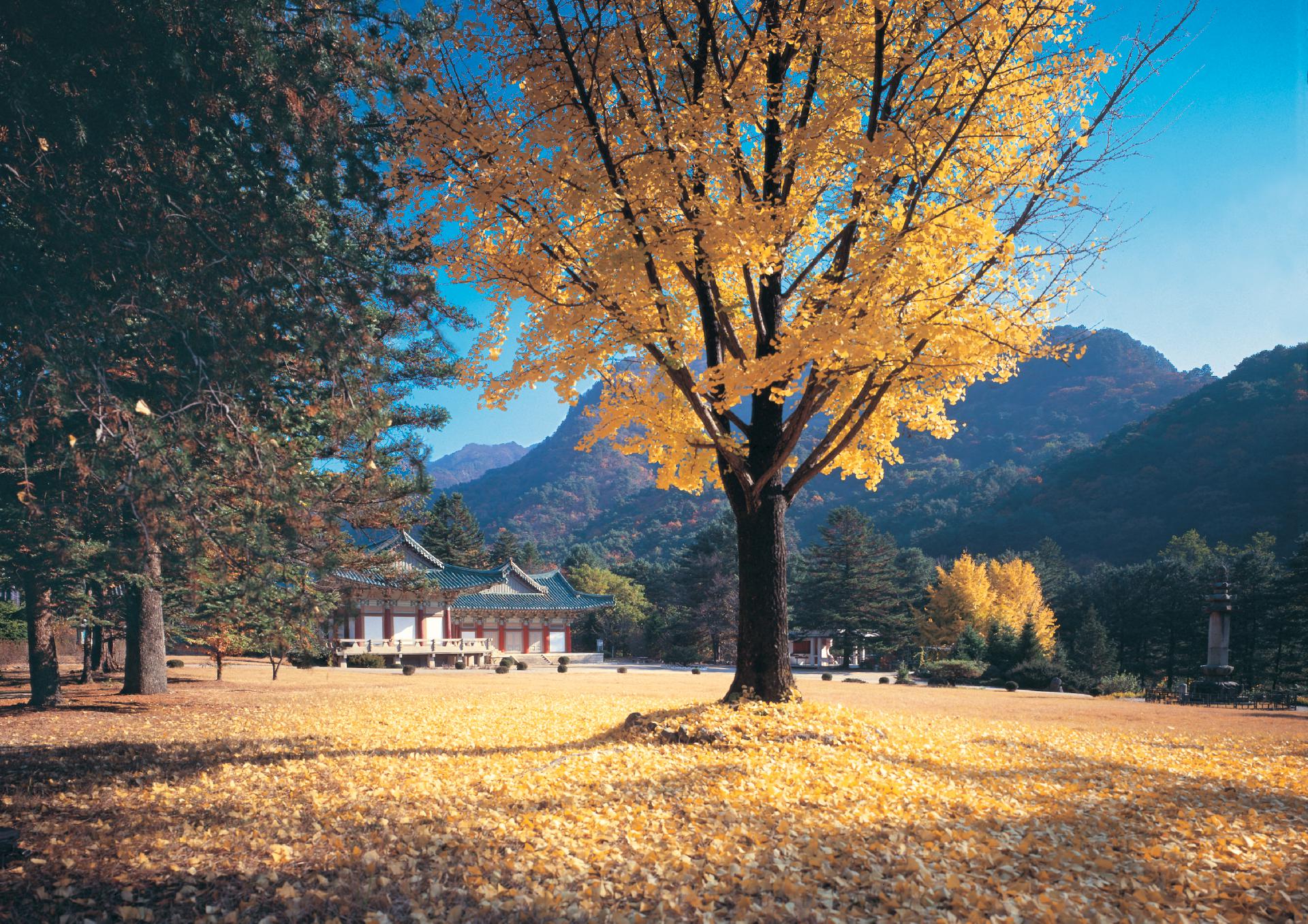Mt Myohyang in autumne