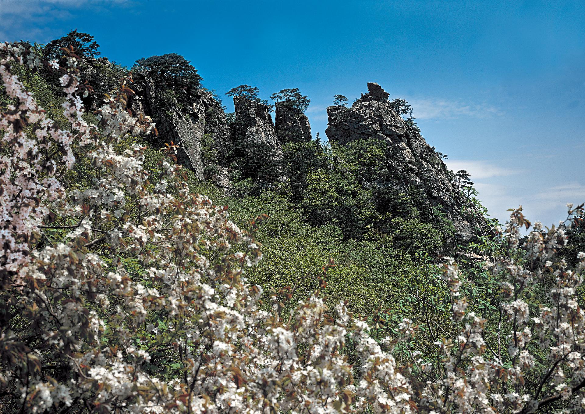 Hyongje (brothers) Rock of Asa Peak