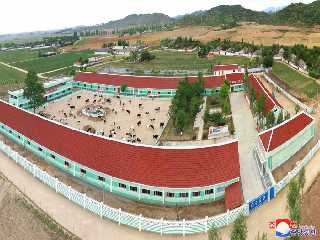 Construction of the annexe to the Hungsang Dairy Cow Farm