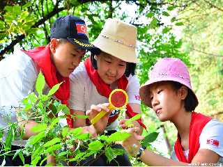 Pyongyang Municipal Myohyangsan Children’s Union Camp for Mountaineering