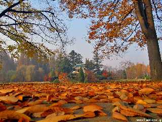 the Autumn of Central Botanical Garden