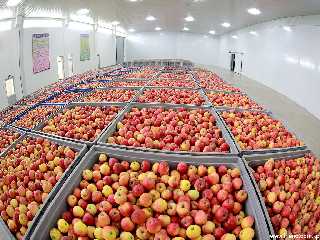 Kosan Combined Fruit Farm