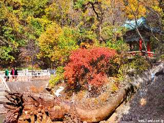 Le paysage d’automne au mont Ryong-ak